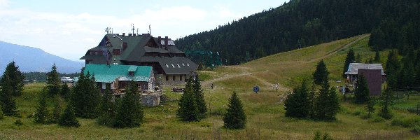 Hala Mizowa, Góry, Beskid Żywiecki, Sronisko