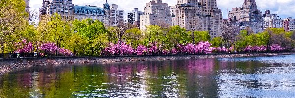 Nowy Jork, Central Park