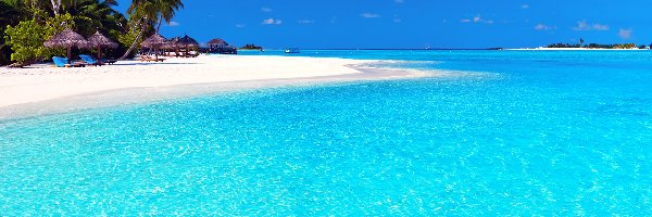 Plaża, Malediwy, Palmy, Morze