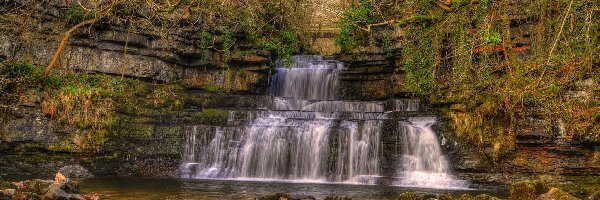 Rzeka Cotterdale Beck, Park Narodowy Yorkshire Dales, Gałęzie, Kamienie, Wodospad Cotter Force, Skały, Omszałe, Anglia