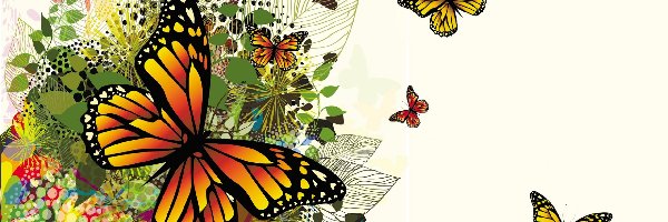 Art, Motyle, Kolorowe