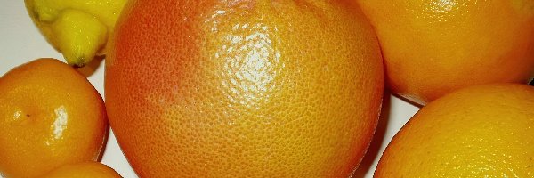 Cytrusy, Grapefruit, Pomarańcze, Cytryny, Mandarynki