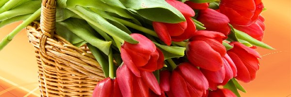 Tulipany, Czerwone, Koszyk
