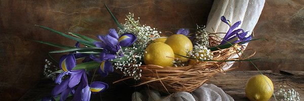 Kwiaty, Cytryny, Irysy, Kompozycja