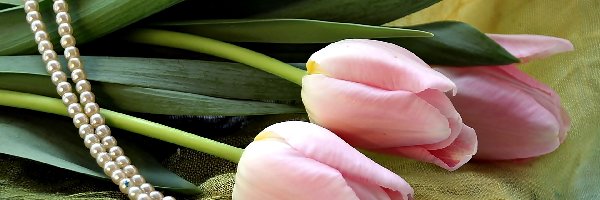 Perły, Tulipany, Różowe