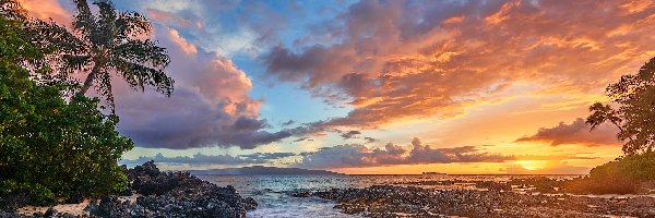 Palmy, Morze, Zachód słońca, Plaża, Wyspa Maui, Hawaje