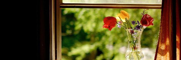 Okno, Wazon, Tulipany