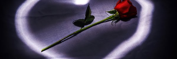 Serce, Róża, Walentynki