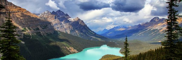 Kanada, Park Narodowy Banff, Prowincja Alberta, Las, Jezioro Peyto Lake, Góry