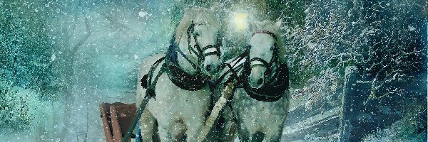 Konie, Śnieg, Zaprzęg, Zima