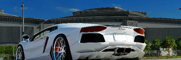 Lamborghini Aventador, Białe