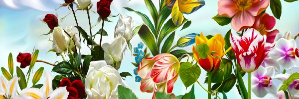 Kwiaty, Tulipany, Róże, Grafika, Lilie