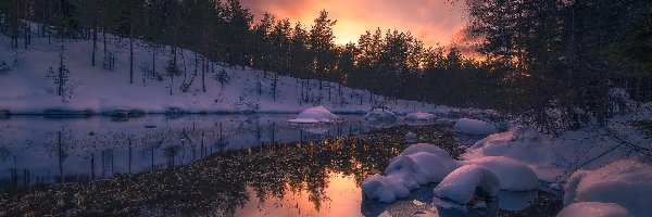 Śnieg, Gmina Ringerike, Las, Drzewa, Zima, Zachód słońca, Jezioro,  Norwegia
