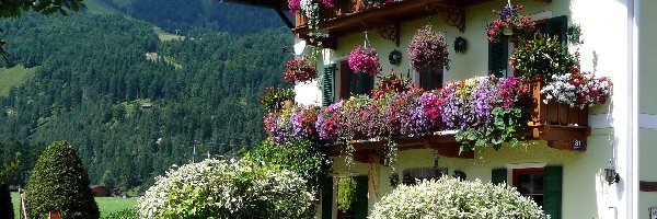 Góry, Austria, Ogród, Dom