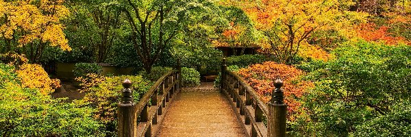 Portland, Park, Stany Zjednoczone, Staw, Krzewy, Drewniany, Most, Ogród japoński, Drzewa, Oregon