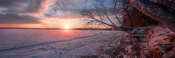 Obwód czelabiński, Drzewa, Wschód Słońca, Rosja, Zima, Jezioro Turgoyak