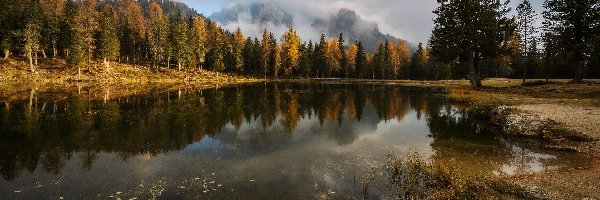 Włochy, Las, Jezioro Antorno, Dolomity, Góry, Region Cadore, Drzewa