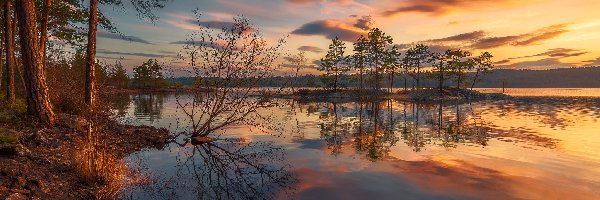 Norwegia, Drzewa, Wschód słońca, Wysepka, Jezioro, Gmina Ringerike, Chmury