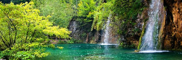 Park Narodowy Jezior Plitwickich, Wodospady, Pomost, Jezioro, Chorwacja, Roślinność, Drzewa