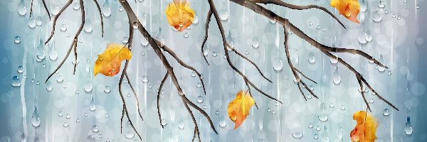 Deszcz, Liście, Jesień, Grafika, Gałąź, Drzewo