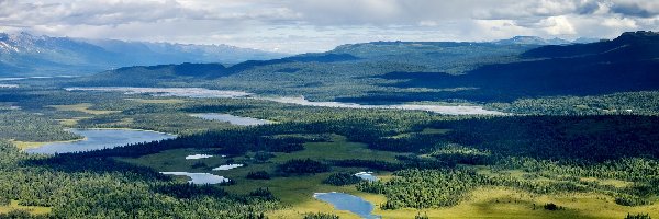 Alaska, Jeziora, Lasy, Stany Zjednoczone, Góry, Park Narodowy Denali