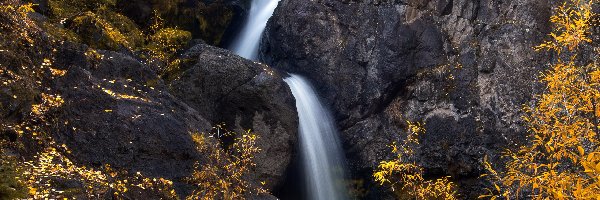 Skały, Drzewa, Wodospad Nellie Creek, Stany Zjednoczone, Kolorado