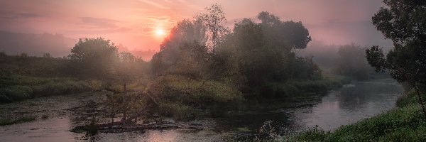 Obwód moskiewski, Drzewa, Rzeka Istra, Rosja, Mgła, Wschód słońca