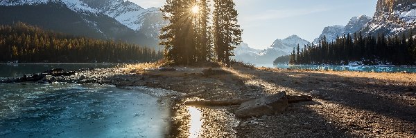 Kanada, Jezioro Maligne, Drzewa, Góry, Park Narodowy Jasper, Alberta, Promienie słońca