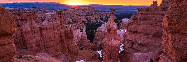 Roślinność, Park Narodowy Bryce Canyon, Skały, Wschód słońca, Stan Utah, Stany Zjednoczone