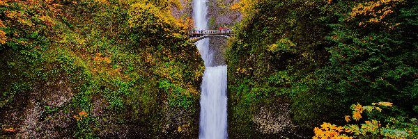 Roślinność, Drzewa, Most, Jesień, Wodospad Multnomah Falls, Stany Zjednoczone, Oregon, Skały, Hrabstwo Multnomah