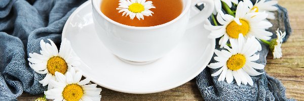 Rumianek, Filiżanka, Herbata, Kwiaty
