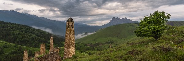 Trawa, Drzewa, Ruiny, Kaukaz, Góry, Rosja, Republika Inguszetii, Wieże obronne, Kwiaty