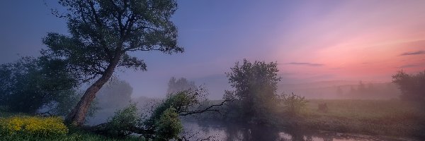 Obwód moskiewski, Drzewa, Wschód słońca, Rosja, Mgła, Rzeka Istra