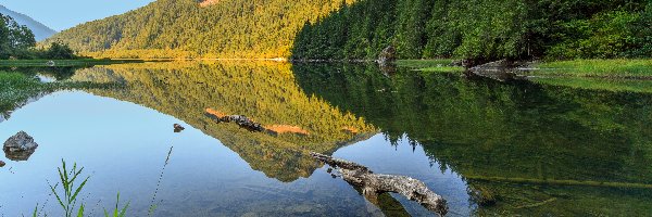 Lasy, Góra, Kanada, Prowincja Ontario, Drzewa, Park prowincjonalny Silver Lake, Maberly, Jezioro Silver