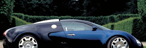 Prawy Profil, Bugatti Veyron