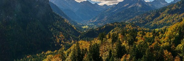 Lasy, Góry, Niemcy, Bawaria, Alpy Algawskie, Drzewa, Dolina, Oberstdorf