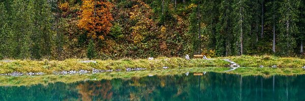 Jezioro Herzsee, Las, Drzewa, Austria, Gmina Aldrans