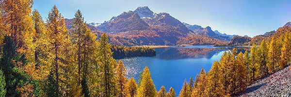 Dolina Engadyna, Jesień, Szwajcaria, Kanton Gryzonia, Drzewa, Jezioro Silsersee, Szczyt Piz da la Margna, Góry Alpy