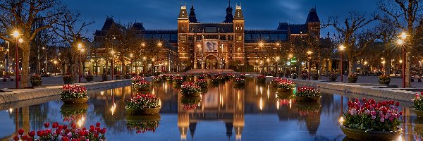 Noc, Tulipany, Holandia, Amsterdam, Latarnie, Muzeum Narodowe, Rijksmuseum, Donice