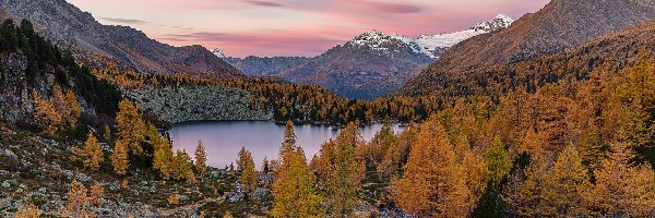 Drzewa, Jezioro Lagh da Val Viola, Szwajcaria, Kanton Gryzonia, Las, Jesień, Dolina Val Poschiavo, Góry