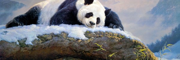 Panda wielka, Śnieg, Skała, Nancy Glazier, Malarstwo
