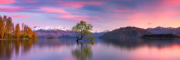 Zachód słońca, Nowa Zelandia, Jezioro Wanaka, Góry, Drzewo