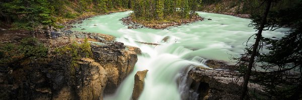 Kanada, Park Narodowy Jasper, Skały, Rzeka Sunwapta, Wodospad Sunwapta Falls, Prowincja Alberta, Drzewa