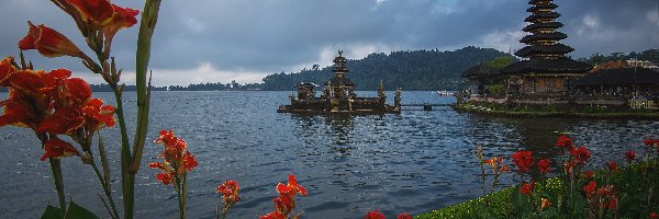 Indonezja, Jezioro Bratan, Czerwone, Pura Ulun Danu Beratan, Świątynia, Wyspa Bali, Kwiaty