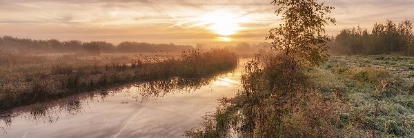 Holandia, Mgła, Wschód słońca, Drzewo, Rzeka, Prowincja Ultrecht, Park przyrody De Schammer