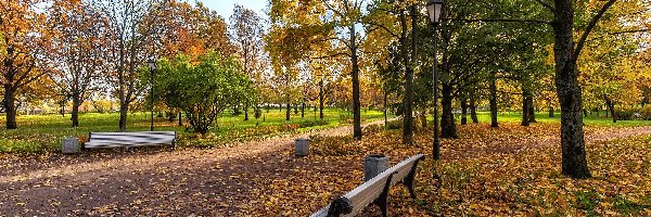 Jesień, Drzewa, Park, Ławki, Alejka