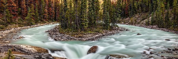 Kanada, Park Narodowy Jasper, Skały, Rzeka Sunwapta, Wodospad Sunwapta Falls, Alberta, Drzewa