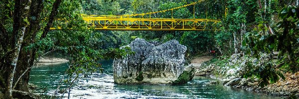 Gwatemala, Skała, Kamienie, Most, Rzeka Cahabon River, Drzewa, Las