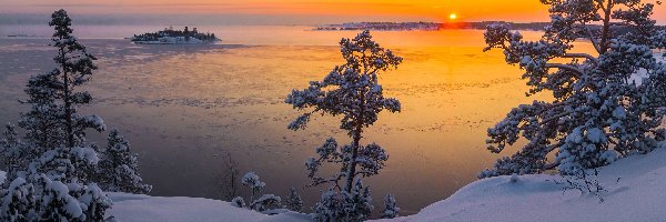 Wyspa, Zima, Rosja, Karelia, Jezioro Ładoga, Drzewa, Śnieg, Wschód słońca