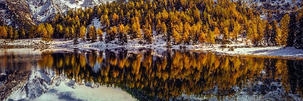 Góry Alpy, Styria, Odbicie, Drzewa, Ośnieżone, Jezioro Duisitzkarsee, Las, Austria